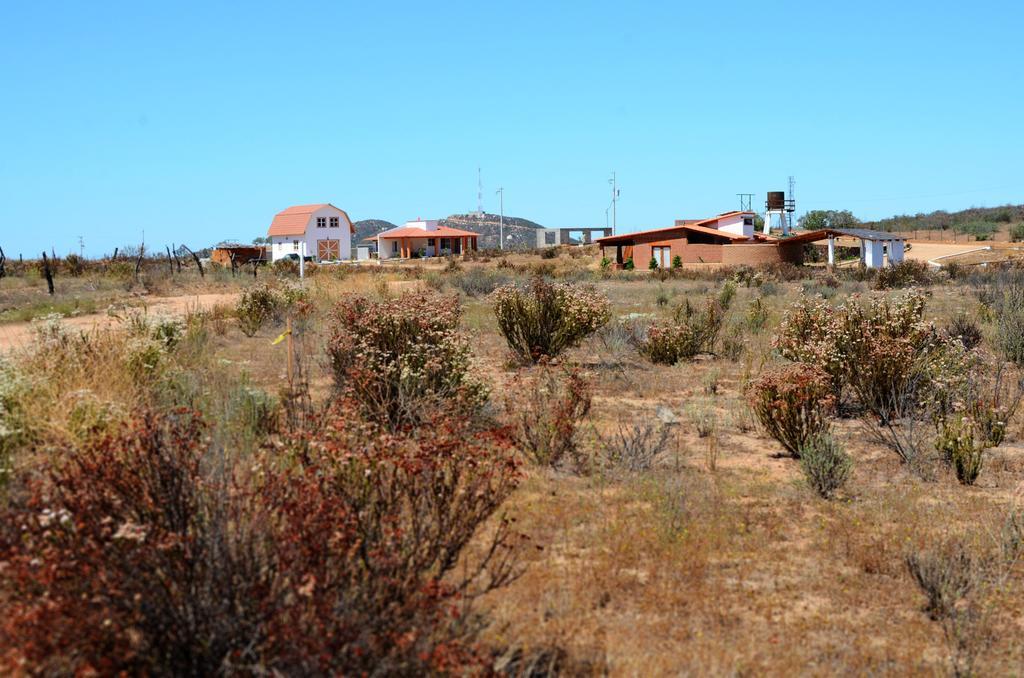 Maison d'hôtes Little Nest en Rancho El Rossinyol à Valle de Guadalupe Extérieur photo